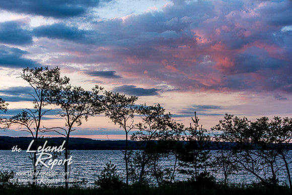 Lake and Trees