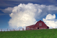 Landscapes