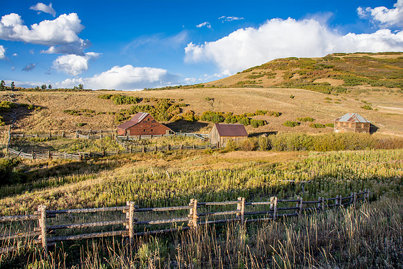 Ross Ranch - True Grit