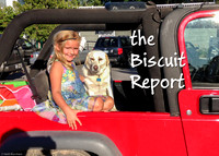 BiscuitReport