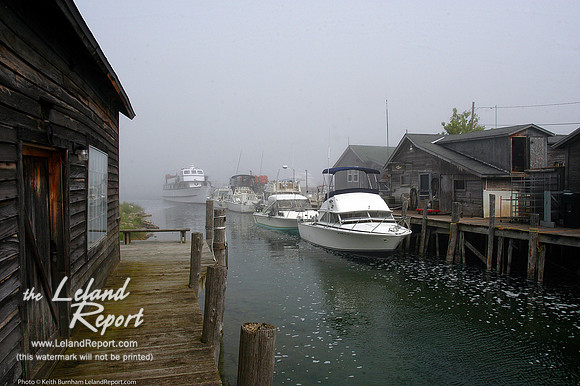 Harbor Fog