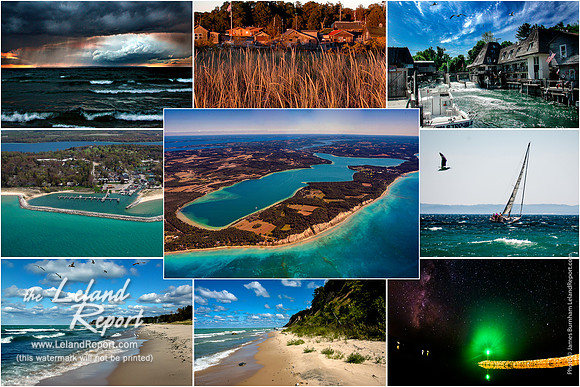 Leland Collage #1