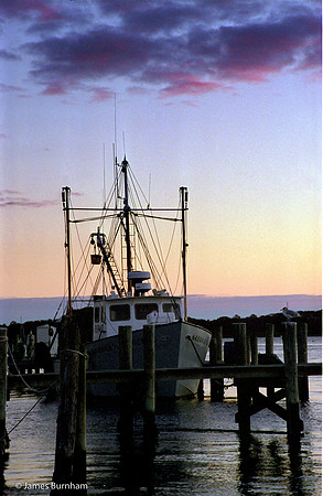 Noank Harbor Morning