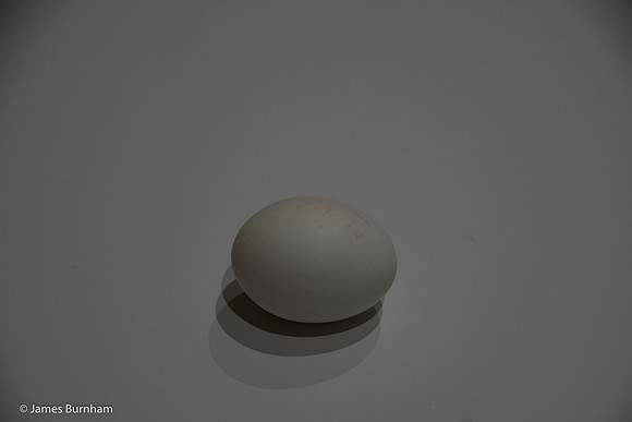 JF3_0977