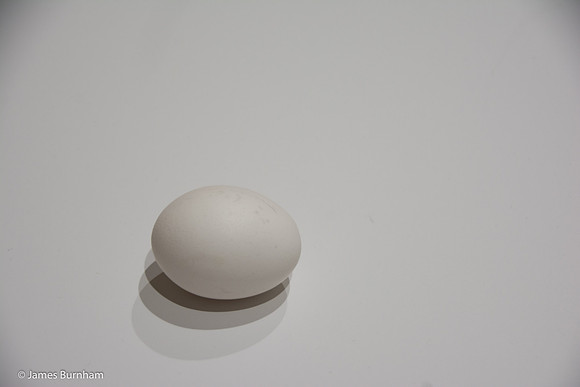 JF3_0978