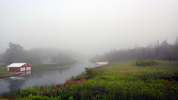 Narrows in the Morning Fog