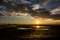 Clouds Over Tremont Cornfield