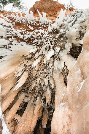 Ice Needles