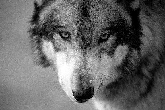 Face to Face