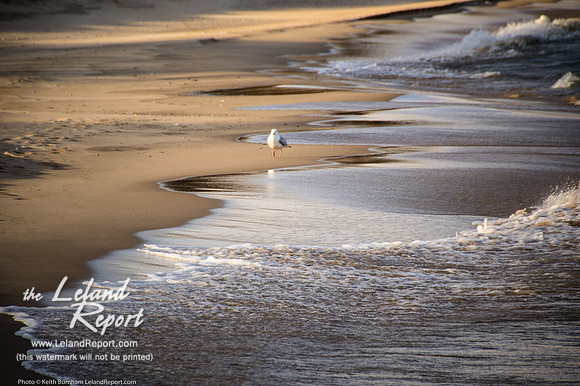 A Beautiful Day to Stroll Along the Shore