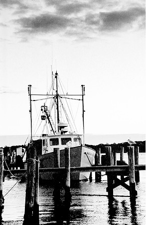 Noank Harbor Morning