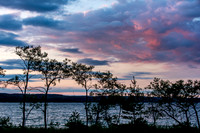 Lake and Trees