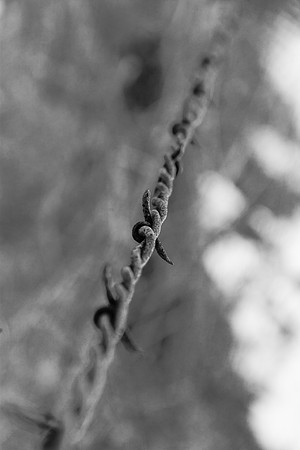 Barbed