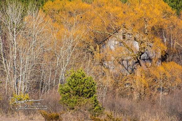 JF7_7788