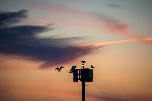 Seagull Navigation