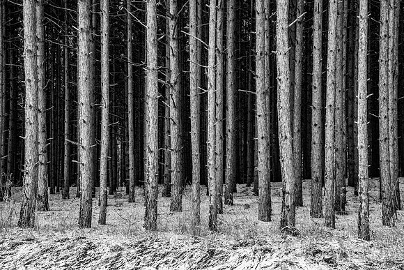 _JB98108-Edit