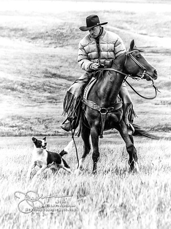 Horseman