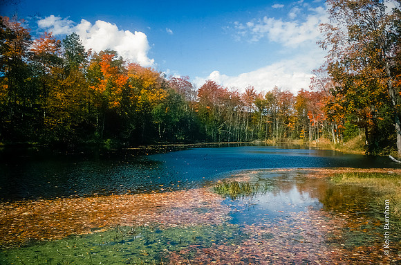 Belanger's Pond