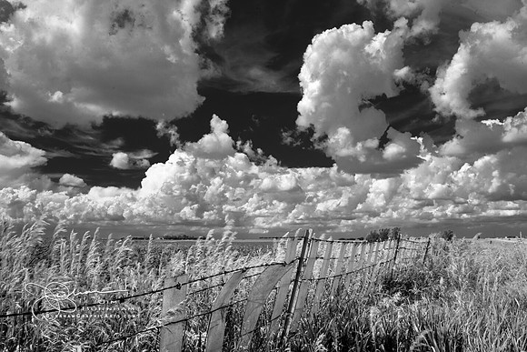 _JB91372-Edit