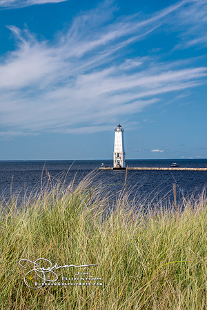 JF8_5289